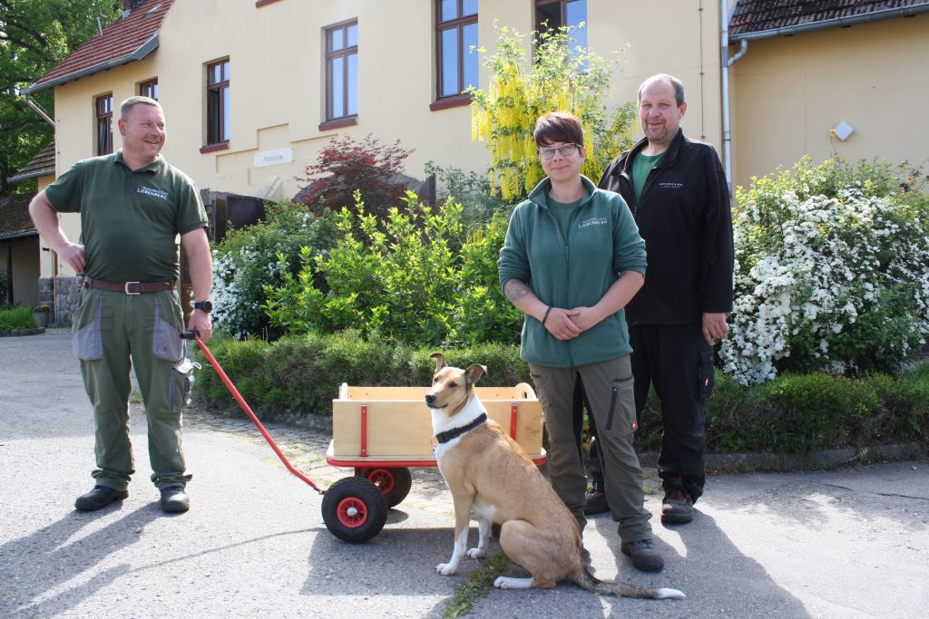 Mitarbeiter des Inklusionsunternehmens der DKB STIFTUNG mit Hund