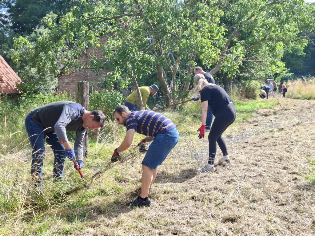 Volunteers der DKB entfernen alte Draht-Zäune damit sich keine Wildtiere verletzen